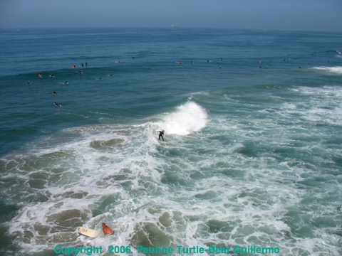 Full Size Image = 600 K