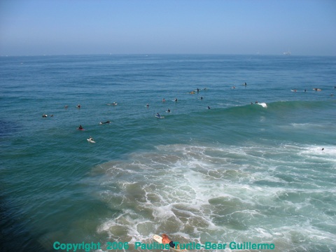 Full Size Image = 534 K