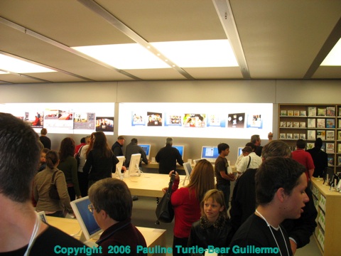 Full Size Image = 539 K