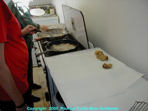 Full Size Image = 176 K