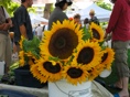 IMG 9685