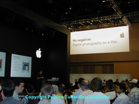 Full Size Image = 168 K