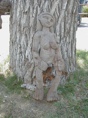 Tree Woman