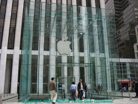 Full Size Image = 672 K