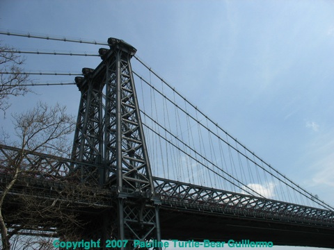 Full Size Image = 613 K