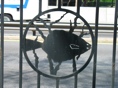 ERP Fence Flounder