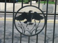ERP Fence Eagle