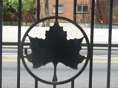 ERP Fence Maple Leaf