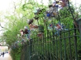Pocket Park Fence