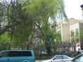 Pocket Park Overview