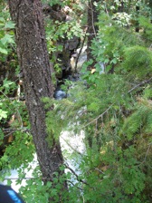 Full Size Image = 1177 K