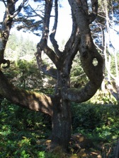Full Size Image = 965 K