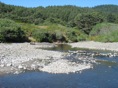 Stream