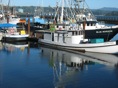 Newport Boats 1