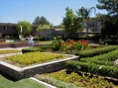 Central Garden