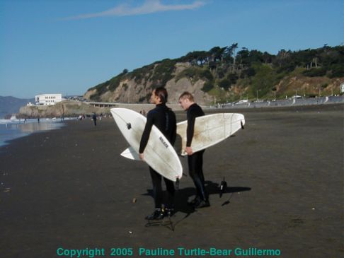 Full Size Image = 183 K