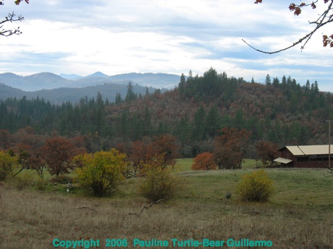 Full Size Image = 604 K