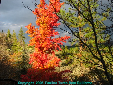 Full Size Image = 1098 K