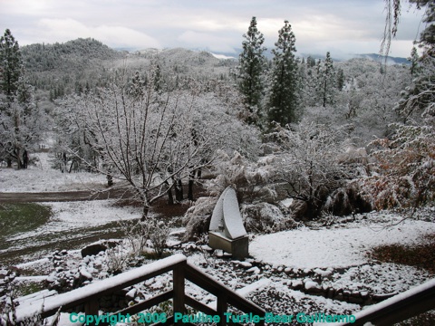 Full Size Image = 1031 K