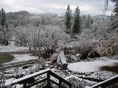 Surprise Snow 1