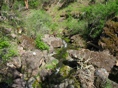 Creek & Rocks