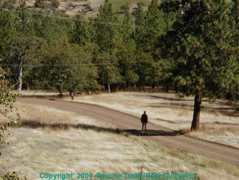 Full Size Image = 204 K