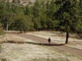 Chasing Goats 2
