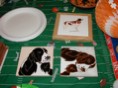 Springer Spaniel Tiles