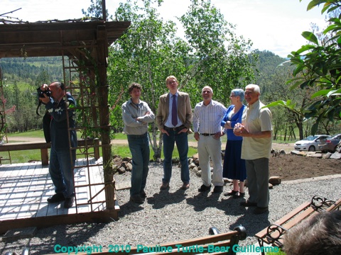 Full Size Image = 991 K