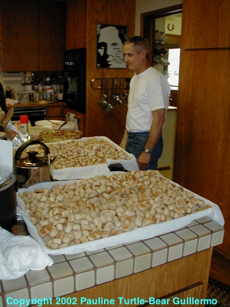 Full Size Image = 197 K