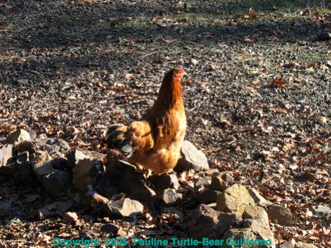 Full Size Image = 1229 K