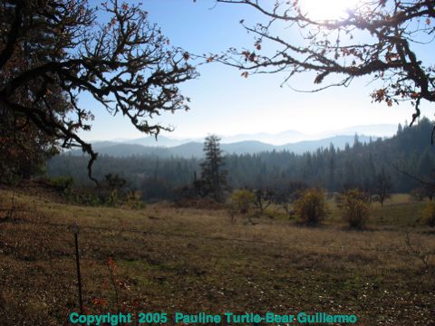 Full Size Image = 864 K