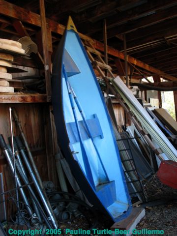 Full Size Image = 579 K