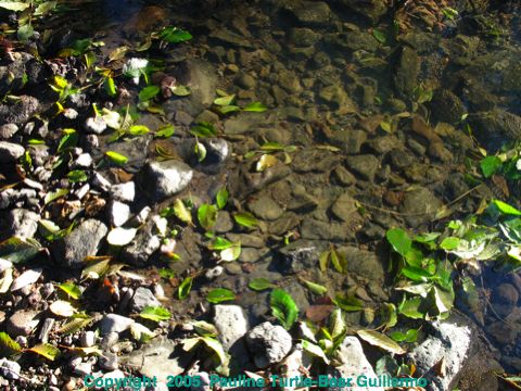 Full Size Image = 1049 K