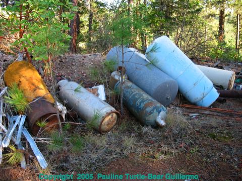 Full Size Image = 2127 K