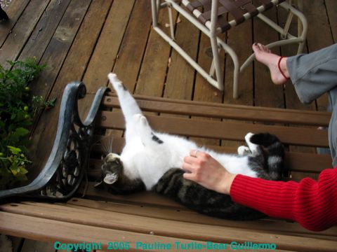 Full Size Image = 569 K