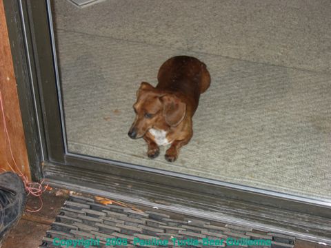 Full Size Image = 703 K