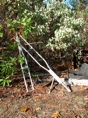 IMG 0421