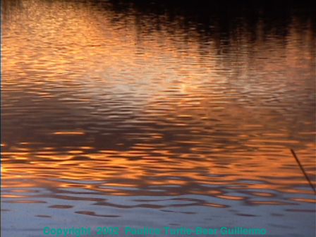 Reflections