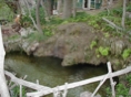 Carlito Springs Pool 1