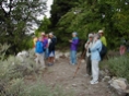 Many Birders