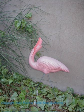 Smashed Flamingo