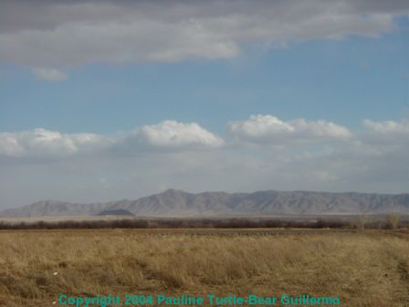 Los Piños Mountains