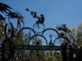 Outdoor Sculpture