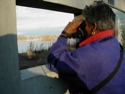 Turtle-Bear Birding At Blind