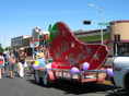 IMG 6964