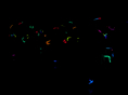 IMG 7892